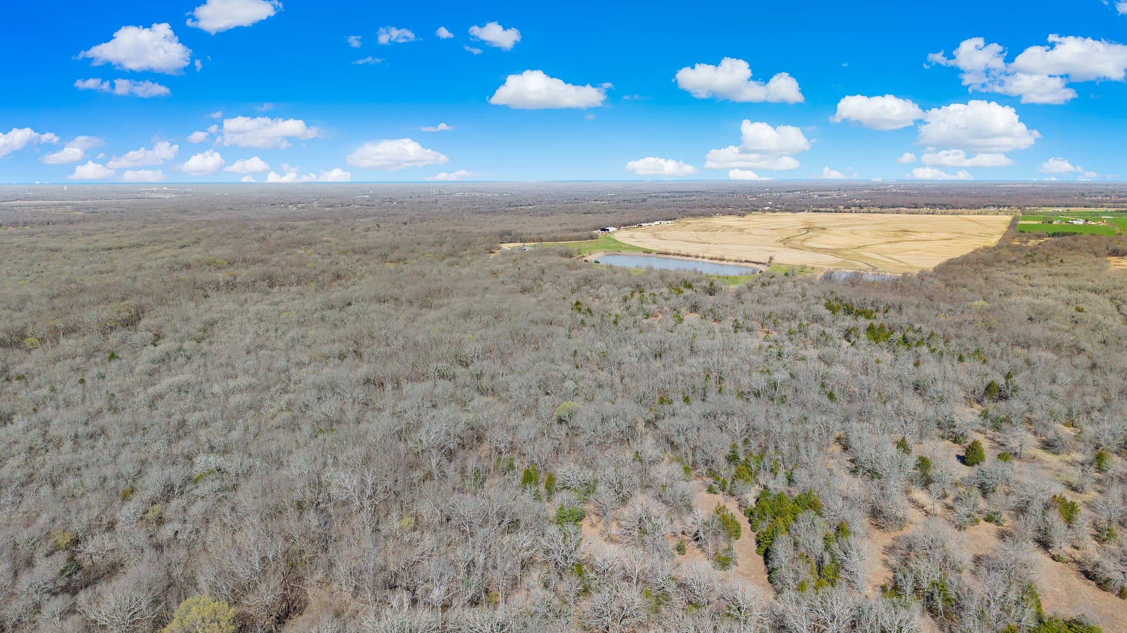 Aerial showing tree-lined acreage and field boundary at the primary site