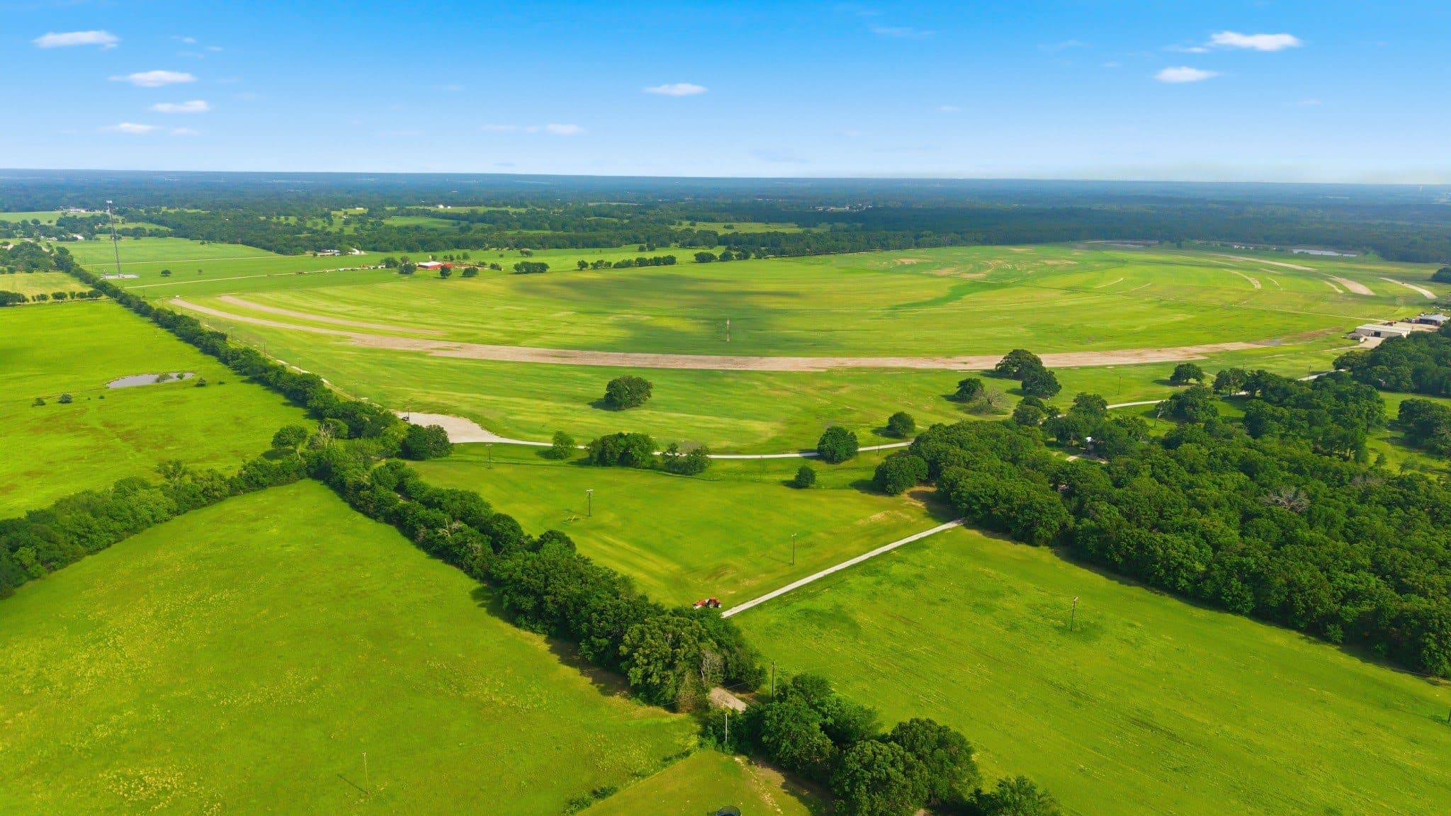 Aerial perspective on the cultivated grass blocks at the primary site