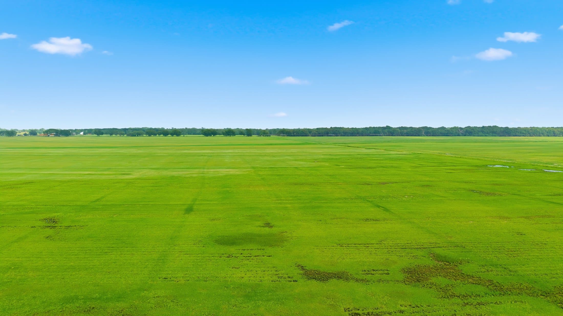 Summer aerial across the production fields toward the workshop area