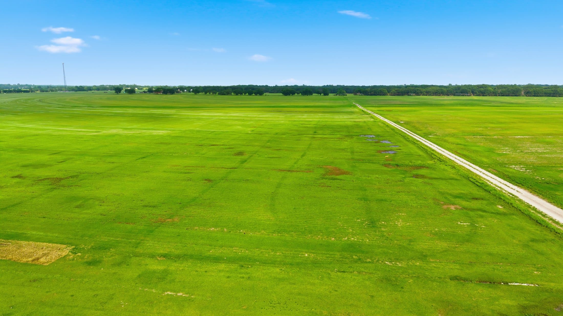 Summer aerial of pivot patterns across the primary production fields