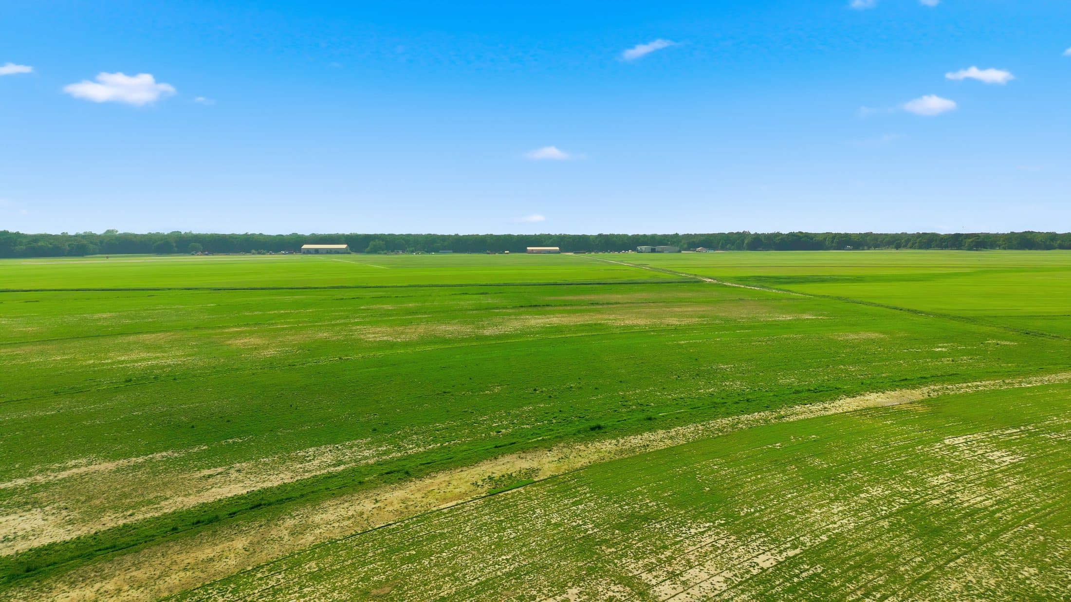 High summer aerial of the primary site’s cultivated grass acreage